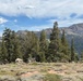 A high-elevation mountain landscape featuring a mix of conifer trees, scattered granite boulders, and low alpine shrubby vegetation in the foreground. Rugged, largely treeless mountain peaks dominate the background under a partly cloudy blue sky. The terrain and vegetation are consistent with a Sierra Nevada or similar western U.S. alpine environment.