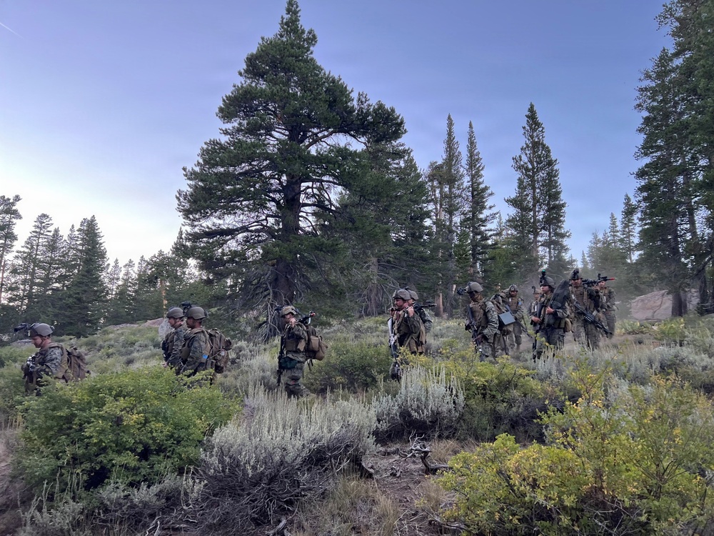 A group of military personnel in full combat gear and camouflage uniforms are conducting a patrol or field exercise through a mountainous, forested terrain. The soldiers are moving in a loose column formation through sagebrush and conifer-covered landscape, suggesting a training exercise or operational movement. The setting appears to be a high-altitude environment, likely in the western United States based on the vegetation.