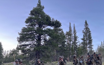 1st DSB conducts patrol during MTX 4-26