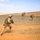Italian Marines train with 24th MEU AAV's during Exercise Eager Lion 2015