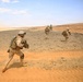 Italian Marines train with 24th MEU AAV's during Exercise Eager Lion 2015