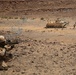 Italian Marines train with 24th MEU AAV's during Exercise Eager Lion 2015