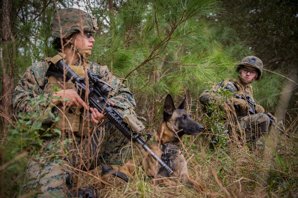 Marines kick off predeployment training with TRAP
