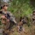 Marines kick off predeployment training with TRAP