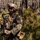 SPMAGTF-CR-AF19.2 executes TRAP exercise in Portugal