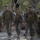 Logistics Combat Element conducts 5mile hike