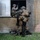 1/8 rehearses airfield assault and seizure during 24th MEU’s MAGTF exercise