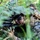 1/8 rehearses airfield assault and seizure during 24th MEU’s MAGTF exercise