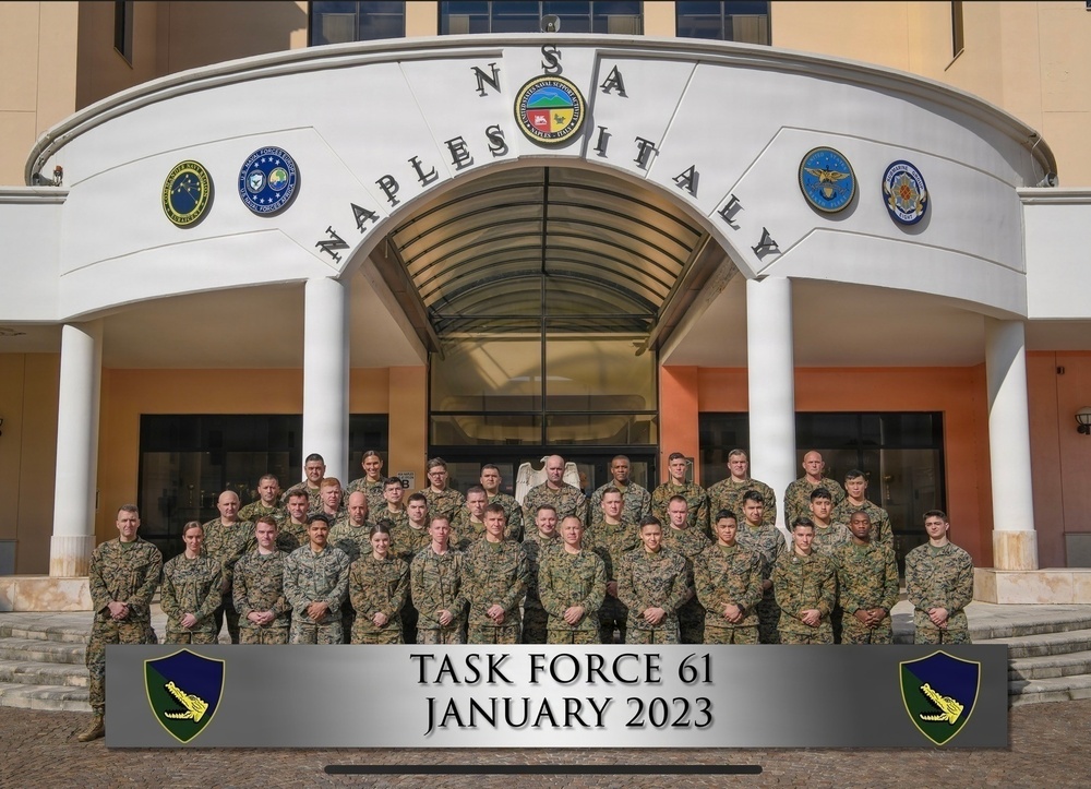 Task Force 61