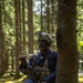 A soldier in tactical gear is positioned against a tree trunk in a sunlit forest, holding an assault rifle and scanning to his left. He is wearing a multicam tactical helmet with a night-vision mount, a plate carrier vest with magazine pouches, and a dark blue uniform. The setting appears to be a military training exercise or field operation in a coniferous woodland environment.