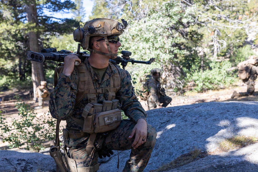 A U.S. Marine in full combat gear is kneeling on a large rock in a forested, mountainous environment, holding a rifle across his shoulder while scanning his surroundings. He is equipped with a tactical helmet, plate carrier vest, and multiple pouches. Additional personnel in similar uniforms are visible in the background.