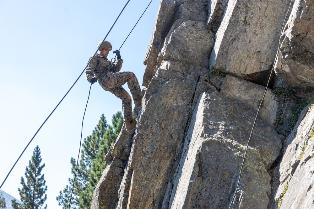 A military service member in full camouflage uniform and helmet is rappelling down a steep rocky cliff face using ropes. The individual appears to be engaged in a military training exercise involving vertical rope descent techniques. The setting is an outdoor rocky terrain with coniferous trees and a clear blue sky visible in the background.