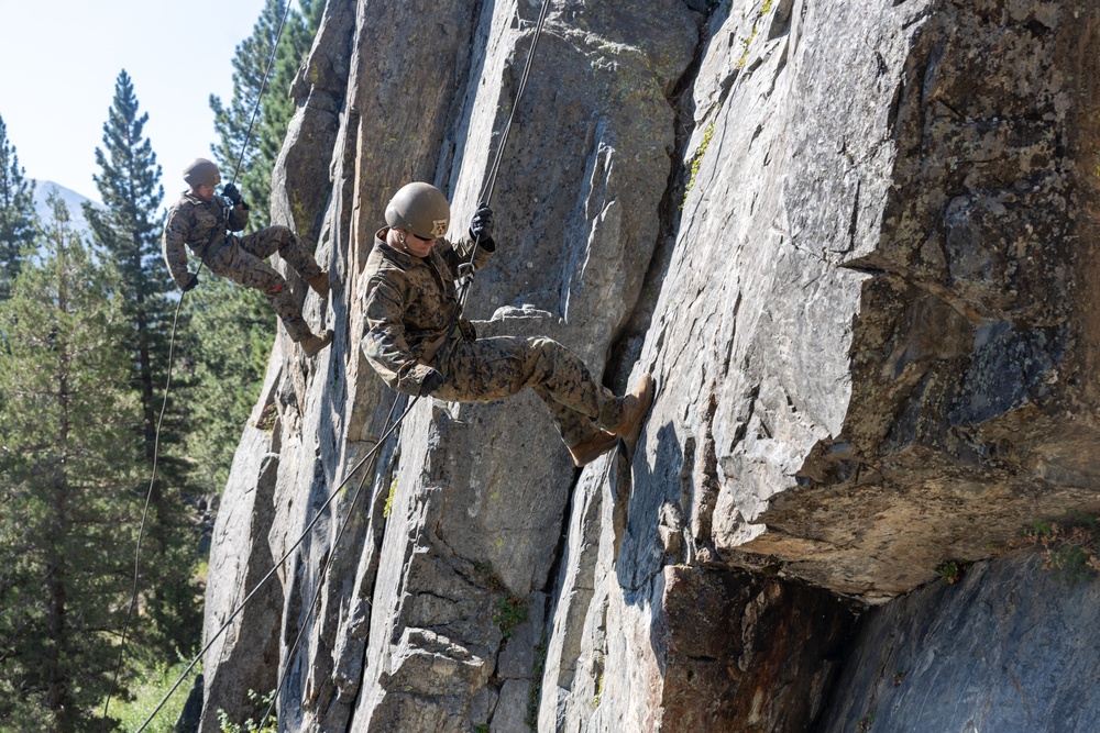 Two military personnel in camouflage uniforms and helmets are rappelling down a steep granite rock face in a mountainous, forested environment. The scene appears to be a military training exercise involving vertical rope descent techniques. Tall conifer trees and a partially visible mountain peak are visible in the background.