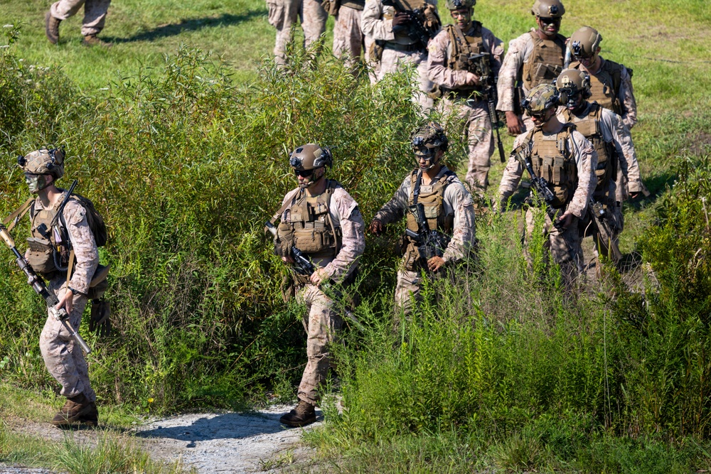 A group of military personnel in full combat gear are moving through a grassy, vegetated area along what appears to be a dirt or gravel path. The soldiers are wearing desert/woodland camouflage uniforms, tactical vests, helmets, and are carrying rifles. This appears to be a training exercise or patrol operation conducted in a field environment.