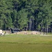 A military training exercise is taking place in an open field adjacent to a pine forest. Multiple soldiers in tan/desert camouflage uniforms are dispersed across a dirt road or path, with two military vehicles visible — a tan HMMWV (Humvee) and a larger green multi-axle tactical vehicle. The scene appears to depict a field training exercise with personnel dismounting or maneuvering around the vehicles.