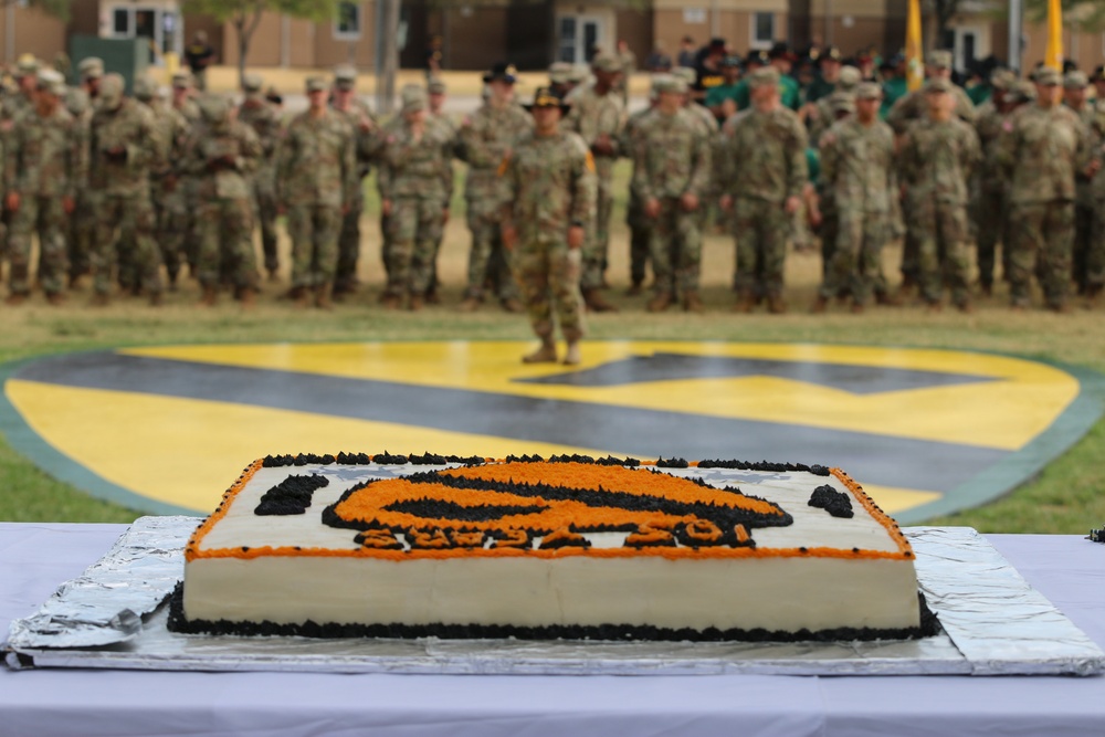 A large rectangular sheet cake decorated with an orange and black tiger mascot design is displayed in the foreground at what appears to be a military ceremony. In the background, numerous soldiers in camouflage uniforms are assembled in formation on a field featuring a large yellow and black chevron or unit insignia painted on the ground. The setting suggests a unit anniversary, activation, or celebratory military event.