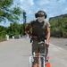 A person in military-style clothing operates a walk-behind concrete cutting or grinding machine on a paved road surface, generating visible dust. The operator is wearing appropriate personal protective equipment including hearing protection, a dust mask, and a camouflage cap. An orange traffic cone is positioned nearby, and the setting appears to be an outdoor road or base facility surrounded by tropical vegetation.