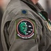 The image shows a close-up of a military flight suit sleeve bearing a squadron patch and rank insignia. The patch identifies the wearer as a member of the 356th Fighter Squadron, featuring a green devil mascot on a black circular background. A Lieutenant Colonel oak leaf cluster rank insignia is visible above the squadron patch.