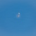 The image shows a small, elongated white and dark object photographed against a clear, uniformly blue sky. The object appears to be at high altitude, making precise identification difficult due to distance. It has a cylindrical or oblong shape with what appears to be a bright reflective area at one end.