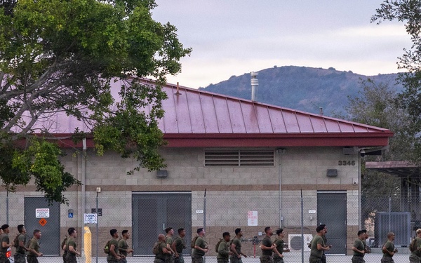HQ Bn., 1st MARDIV participate in battalion pt