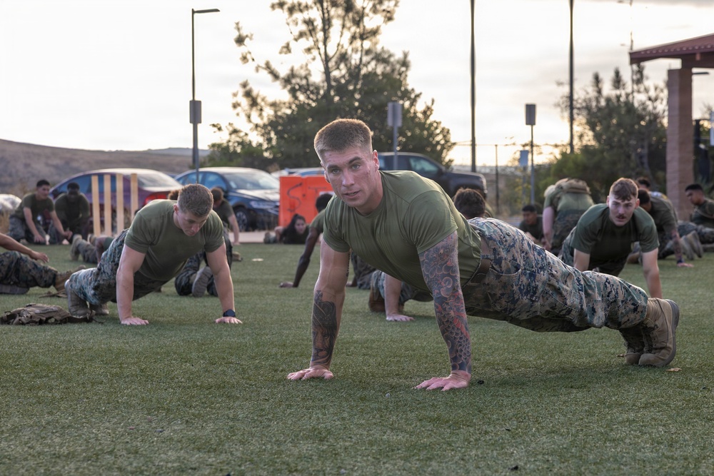 A large group of military personnel in olive green t-shirts and camouflage trousers are performing push-ups on a grass field, likely during a physical training session. The foreground features a tattooed male service member looking directly at the camera while in the up position of a push-up. The setting appears to be an outdoor military installation or base, photographed at dusk or dawn.