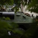 A United States Marine Corps (USMC) armored vehicle, serial number 531356, named 'WHISKEY NICK' is partially visible through tree foliage. The olive-drab painted vehicle appears to be an LAV (Light Armored Vehicle) or similar wheeled armored personnel carrier. The vehicle is positioned near a building with a chain-link fence visible in the background.