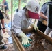The image shows what appears to be a field excavation or archaeological recovery operation in a forested, tropical setting. A person wearing a white shirt, baseball cap with a U.S. government emblem, and green work gloves is carefully sifting through soil and debris on a wooden-framed mesh screen. The setting and insignia suggest this may be a DPAA (Defense POW/MIA Accounting Agency) or similar U.S. government recovery mission, likely in Southeast Asia.