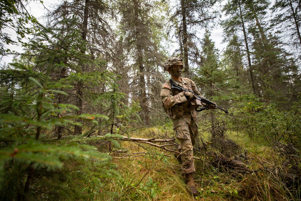 AKARNG's 207th Multi-Functional Training Regiment conducts Infantry Advanced Leader Course