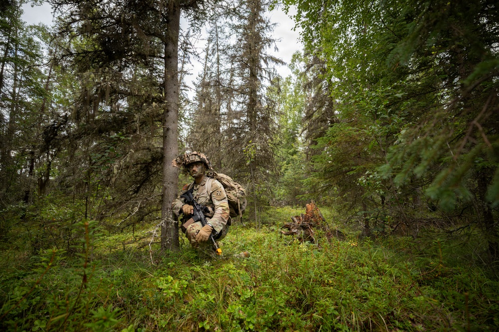 AKARNG's 207th Multi-Functional Training Regiment conducts Infantry Advanced Leader Course