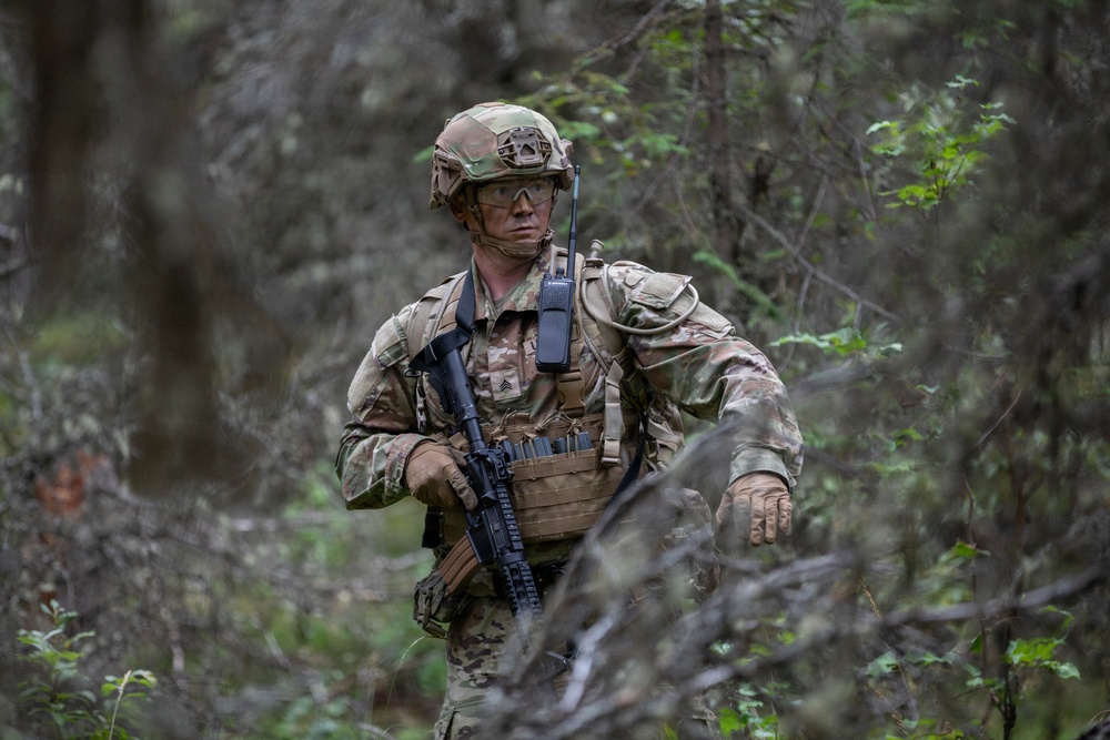 AKARNG's 207th Multi-Functional Training Regiment conducts Infantry Advanced Leader Course
