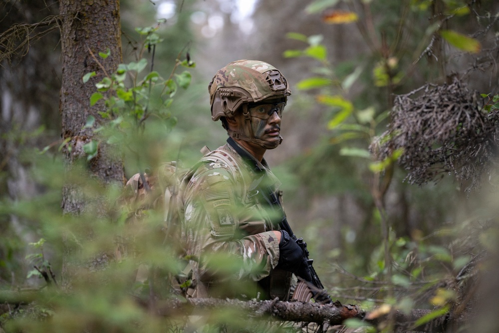 AKARNG's 207th Multi-Functional Training Regiment conducts Infantry Advanced Leader Course