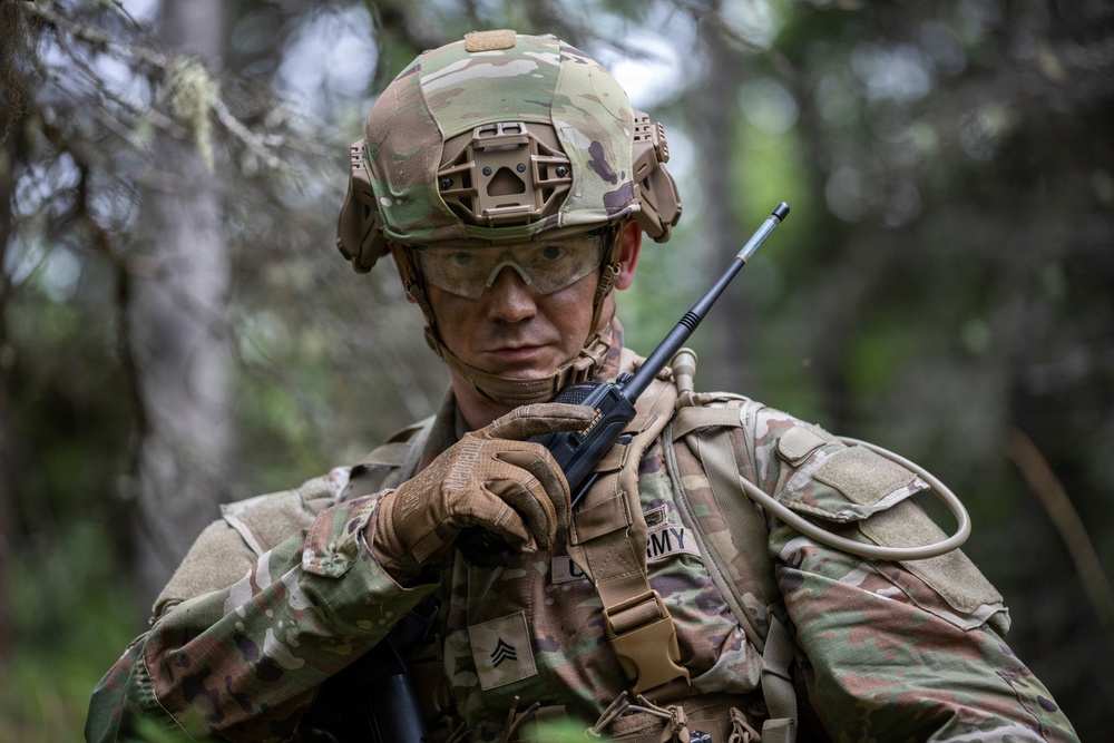 AKARNG's 207th Multi-Functional Training Regiment conducts Infantry Advanced Leader Course