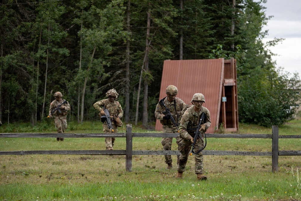 AKARNG's 207th Multi-Functional Training Regiment conducts Infantry Advanced Leader Course