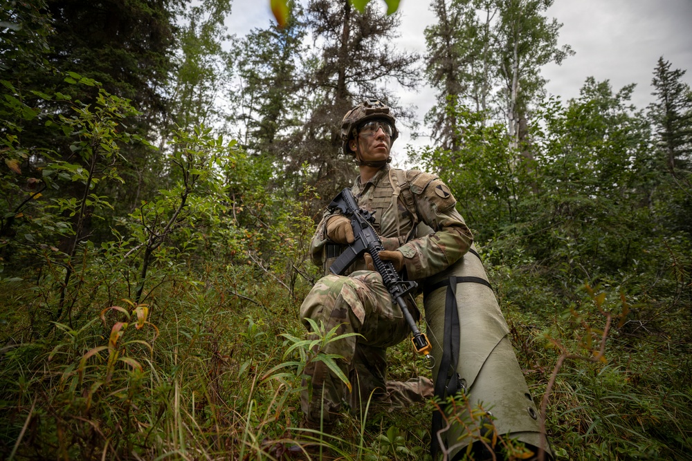 AKARNG's 207th Multi-Functional Training Regiment conducts Infantry Advanced Leader Course