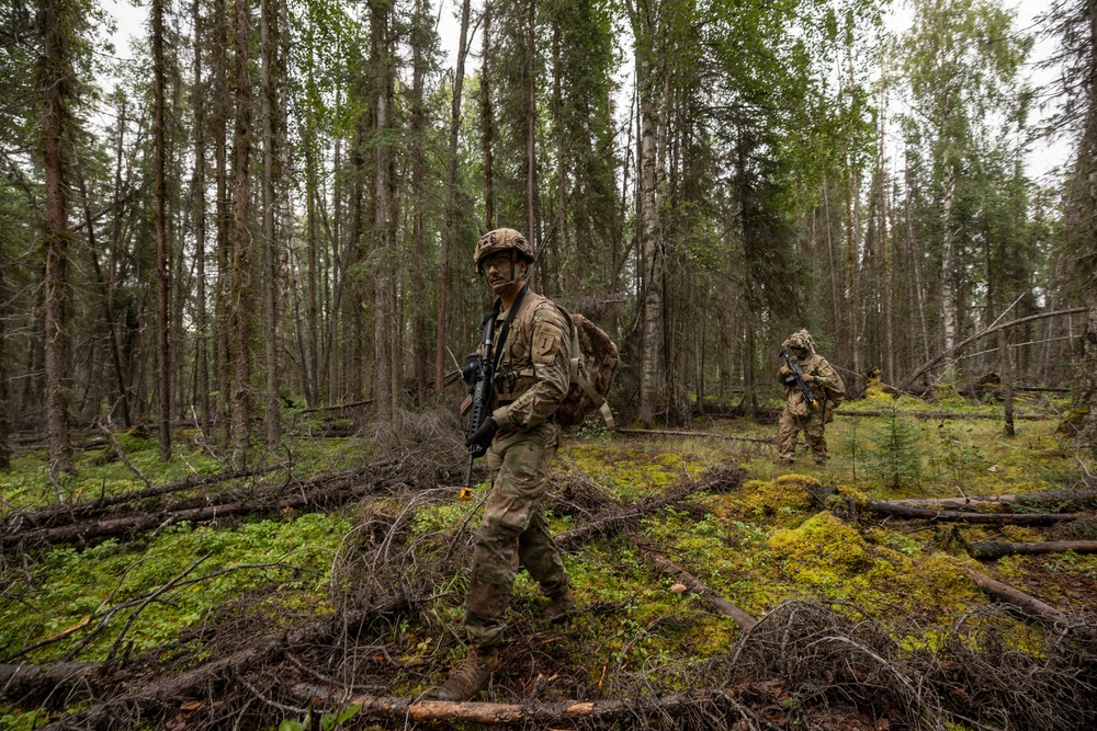 AKARNG's 207th Multi-Functional Training Regiment conducts Infantry Advanced Leader Course