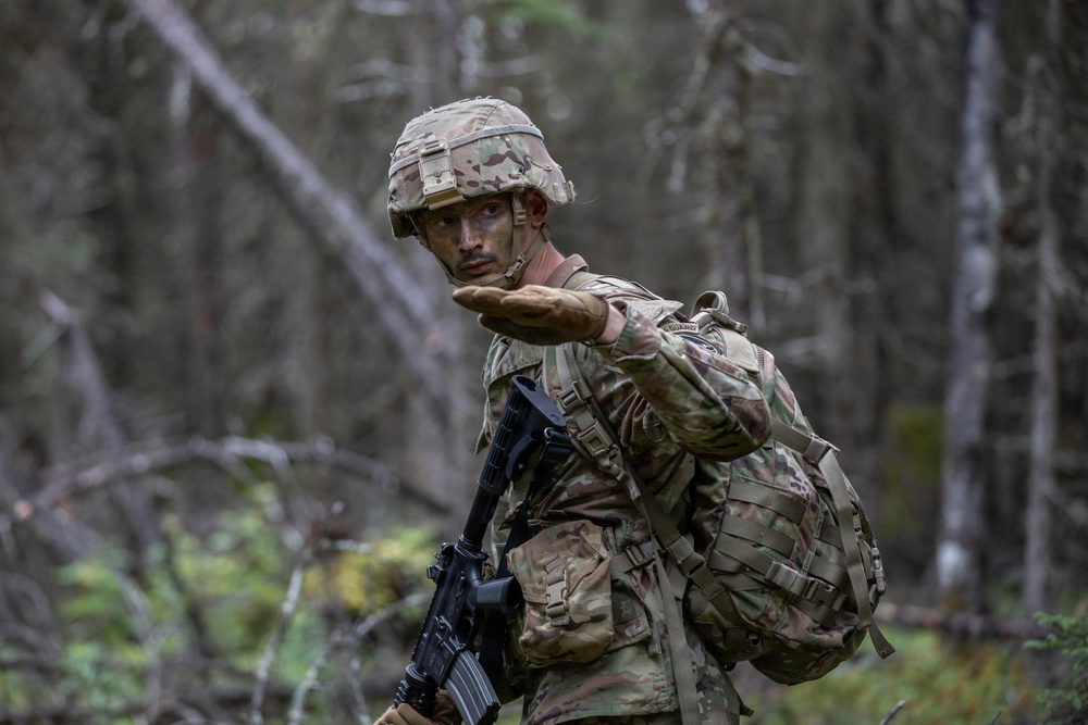 AKARNG's 207th Multi-Functional Training Regiment conducts Infantry Advanced Leader Course