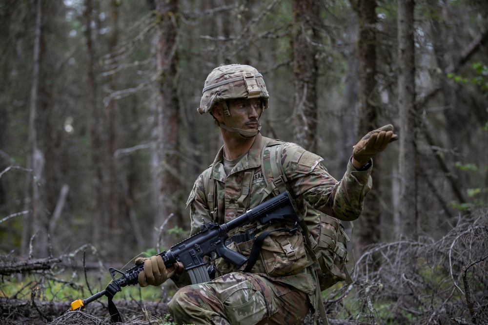 AKARNG's 207th Multi-Functional Training Regiment conducts Infantry Advanced Leader Course