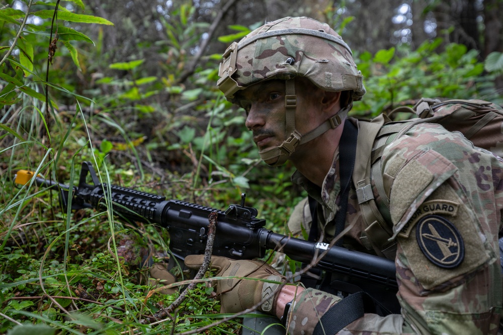 AKARNG's 207th Multi-Functional Training Regiment conducts Infantry Advanced Leader Course
