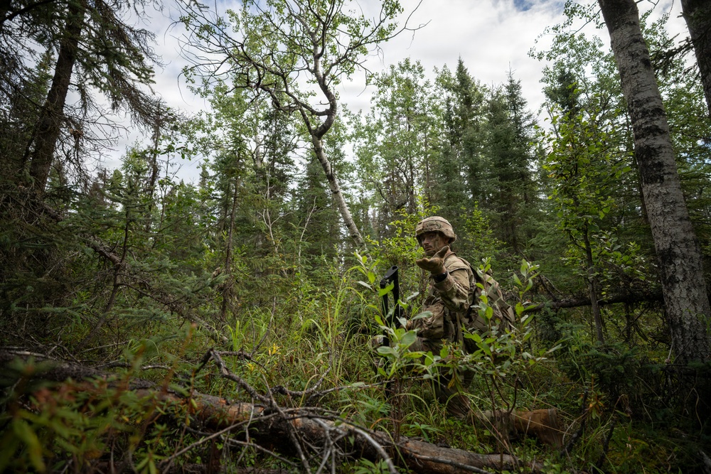 AKARNG's 207th Multi-Functional Training Regiment conducts Infantry Advanced Leader Course