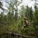 AKARNG's 207th Multi-Functional Training Regiment conducts Infantry Advanced Leader Course