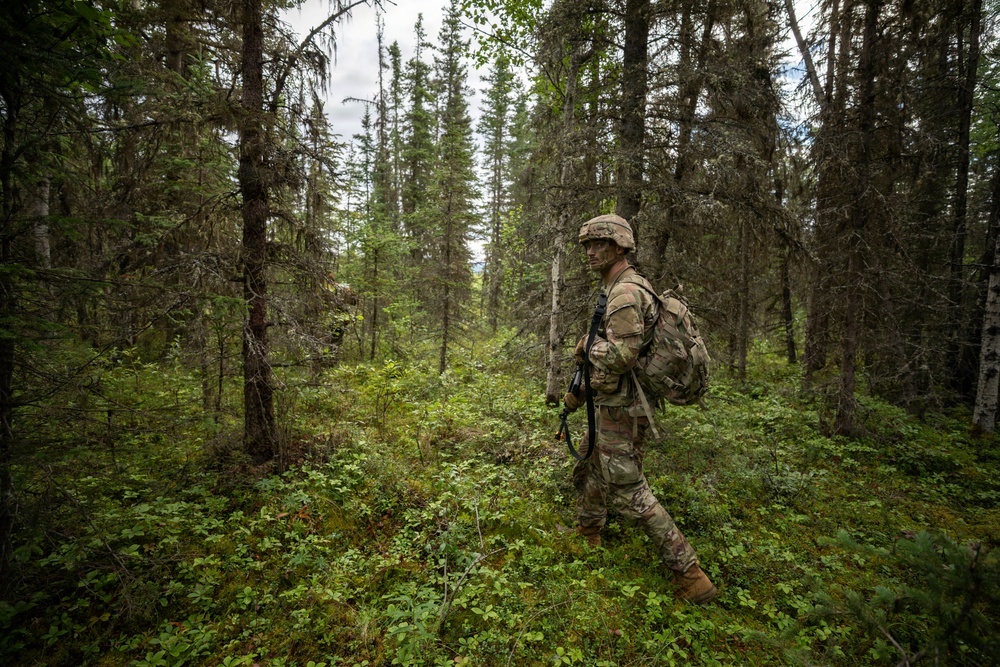 AKARNG's 207th Multi-Functional Training Regiment conducts Infantry Advanced Leader Course