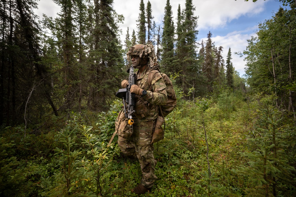 AKARNG's 207th Multi-Functional Training Regiment conducts Infantry Advanced Leader Course