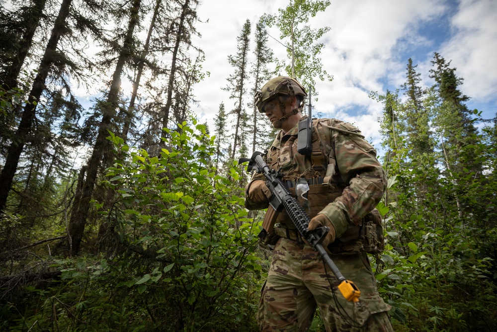 AKARNG's 207th Multi-Functional Training Regiment conducts Infantry Advanced Leader Course