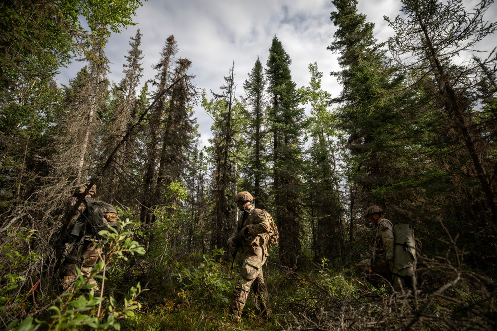 AKARNG's 207th Multi-Functional Training Regiment conducts Infantry Advanced Leader Course