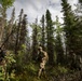 AKARNG's 207th Multi-Functional Training Regiment conducts Infantry Advanced Leader Course