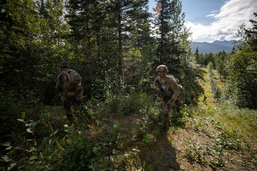 AKARNG's 207th Multi-Functional Training Regiment conducts Infantry Advanced Leader Course