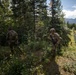 AKARNG's 207th Multi-Functional Training Regiment conducts Infantry Advanced Leader Course