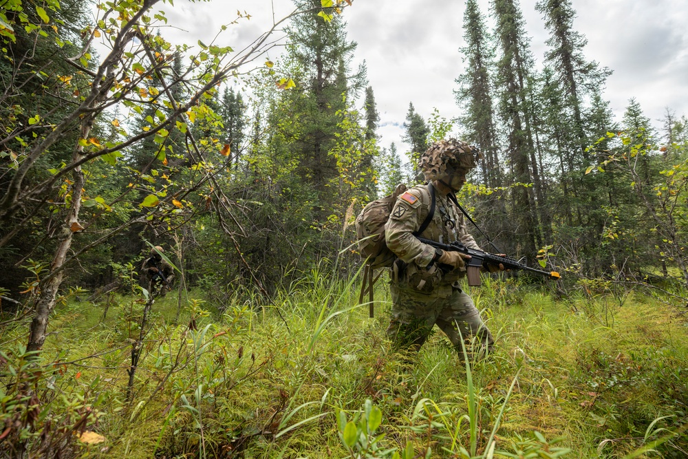 AKARNG's 207th Multi-Functional Training Regiment conducts Infantry Advanced Leader Course
