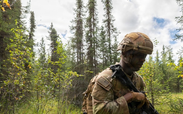 AKARNG's 207th Multi-Functional Training Regiment conducts Infantry Advanced Leader Course