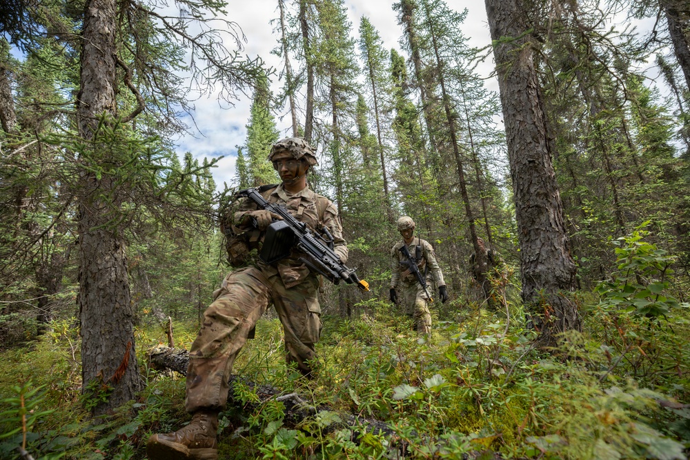 AKARNG's 207th Multi-Functional Training Regiment conducts Infantry Advanced Leader Course